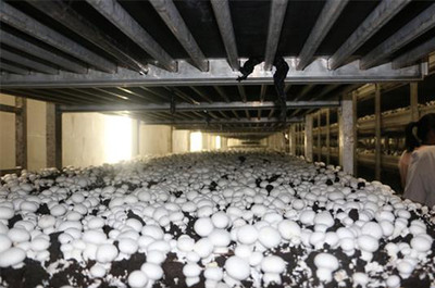 江蘇&middot;連云港